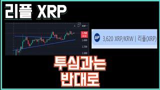 리플 XRP 투심과는 반대로