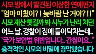 실화사연-시모 방에서 발견된 이상한 연애편지 "엄마 미쳤어?! 늦바람 난 거야?!!" 시모 재산 뺏길까 봐 시누가 난리 치던 어느 날, 경찰이 집에 /노후/사연/오디오북/인생이야기