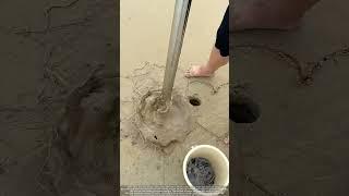 Mantis Shrimp Harvesting : How Coastal Foragers Use Vacuum Power on Tidal Flats
