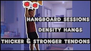 Density Hangs - how to get thick, healthy and strong tendons - hangboard sessions