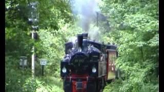 HSB Traditionszug am Bahnübergang Drei Annen