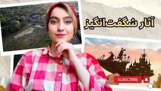 هنر فراتر از تصور: آشنایی با عجیب‌ترین و خلاقانه‌ترین آثار هنری