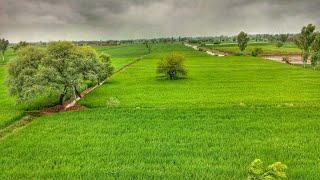 Beauty of Punjab // Beauty of Pakistan // پنجاب پاکستان