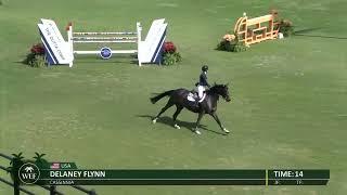 Watch the $62,500 Adequan CSI3* WEF Challenge Cup Round 6.