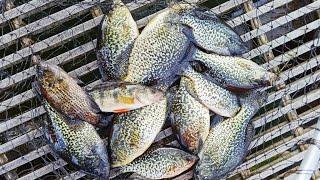 Spring crappie fishing in west WA | How to fish for crappie at fishing dock or boat launch