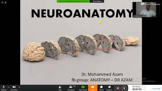 Dr Azam Anatomy Lectures|Neuro Anatomy |Part 1|Dr Mohammad Azam Khan| Makes Anatomy Easy