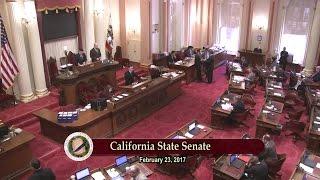 RAW VIDEO: California State Sen. Janet Nguyen Removed From Senate Floor