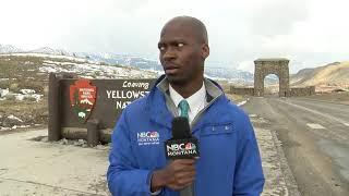 One year ago NBC Montana's Deion Broxton went viral after bison tweet