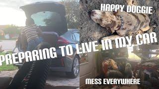 DAY IN my LIFE  | preparation to LIVE IN MY CAR | going to the dog park