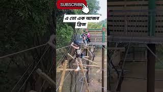Strange Bridge  #shorts #shortsvideo