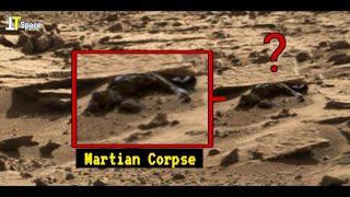 Mars Life's Latest 180° Unexpected Terrifying 4K Video Footage Sends By NASA's Mars Rover -Sol 4002