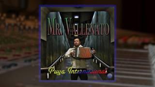 Mr Vallenato - Puya internacional