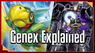 Genex Explained [Yu-Gi-Oh Archetypes & Deckbuilding] (feat. @DarthNash6 )