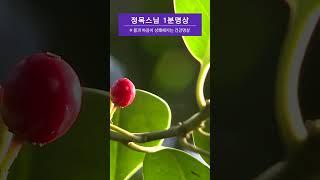 몸과 마음이 리프레쉬 되는 건강명상 #shorts #정목스님