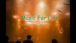 #Musicforlife #BlueDreams Music For Life Blue Dreams best romantic pop song 2021