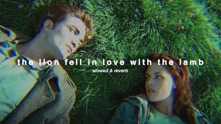 ( slowed ) the lion fell in love with the lamb