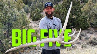 SHED HUNTING 2021: BIG FIVE!