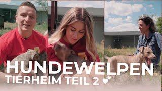 1 Tag im TIERHEIM mit Aaron Troschke!  | MRS. BELLA