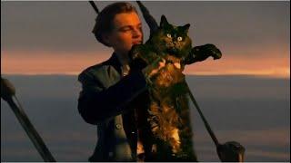 Titanic owlkitty / Jack and cat / Titanic 2022