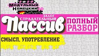 ВСЁ О ПАССИВ ЗА 20 МИНУТ