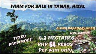 (PROPERTY#74) PHP 64 PER SQM ONLY - TANAY RIZAL WITH BATIS - TITLED !!!