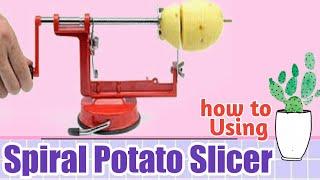 How to use Spiral Potato Slicer - DIY spiral potato machine