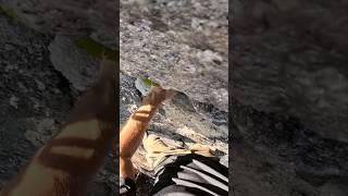 #freesoloing #gunks Classic face climb. Click above for full video