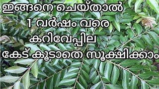 കറിവേപ്പില വർഷങ്ങൾ കേടുകൂടാതെ ഫ്രഷ് ആയി സൂക്ഷിക്കാം/How to keep Curry leaves for long period