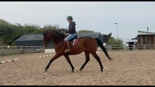 Boris (Juno Watt) first attempt at a dressage test - Intro C