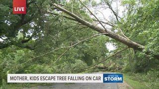 Muskegon County mom, kids escape tree falling on their car