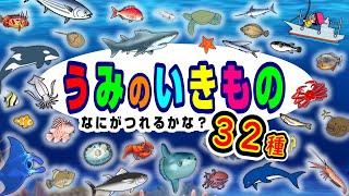 【子供が喜ぶ水族館】海の生き物 お魚さんたちが大集合！何が釣れるかな？20種以上！さかなの名前ずかんサメ・クジラ・カニ・たこ・マンタ未就学児向け教育｜Fish【知育動画】sea animals