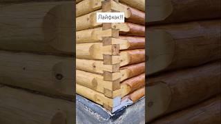 Лайфхак по покраске сруба!!! #стройка #дача #diy #ремонт #woodworking