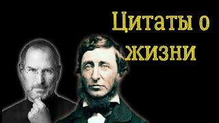 ЛУЧШИЕ ЦИТАТЫ О ЖИЗНИ  Короткое видео