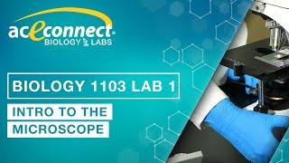 Biology Lab || Intro to the Microscope