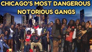 Chicago's Most Dangerous Gangs: Untold Stories of Rivalries and Power