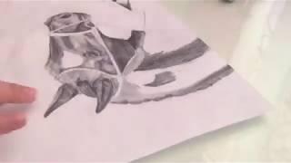 Horse speed draw with Pencil | (unfinished)