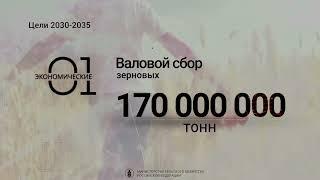 Цели 2030 2035 РУБ 2017