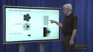 4.5 Meromorphic Functions [Lecture 4 - Complex Analysis, Rataional and Meromorphic Asymptotics]