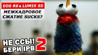 IPB - ОТСТОЙ? Стоит ли брать Canon EOS R6 или Lumix S5 | All-I vs Long GOP | FujiDay #5