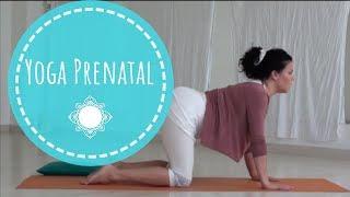 Ejercicios de YOGA en el EMBARAZO. YOGA PRENATAL 