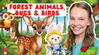 Toddler Learning - Learn Animals, Birds, & Bugs for Kids | Educational Video for Kids