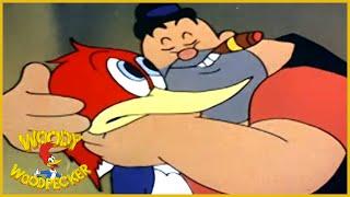 Woody Woodpecker classic | The Loose Nut | Woody Woodpecker Full Episode | *Remastered*