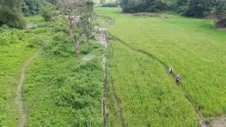 MARAGANG SIP | Zamboanga del Sur Irrigation Management Office