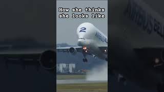 How she thinks she looks like #airbusbeluga #beluga #moonlight #kaliuchis #aviationlovers #aviation