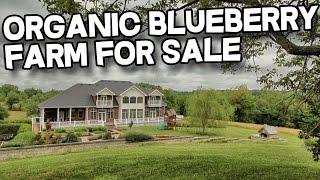 Organic blueberry farm Kentucky Horse Property | Horse Farm for sale