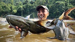 Đi Sâu Vào Rừng Săn Tìm Thủy Qoái Sông Đồng Nai | Big fish in the forest