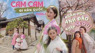 10 NGÀY VI VU HÀN QUỐC CỦA CAM CAM.  PHẢI ĐẾN NHỮNG ĐỊA ĐIỂM NÀY VÀO MÙA XUÂN BẠN NHÉ!!! 