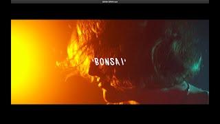 Toolbar - Bonsai (Official Lyric Video)