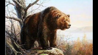 Охота на Медведя лучшие выстрелы и опасные моменты, Bear Hunt