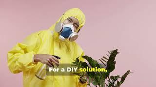 Gray Powder on Plants? Take Immediate Action to Protect Your Garden!! #PlantCare #PlantHealth
